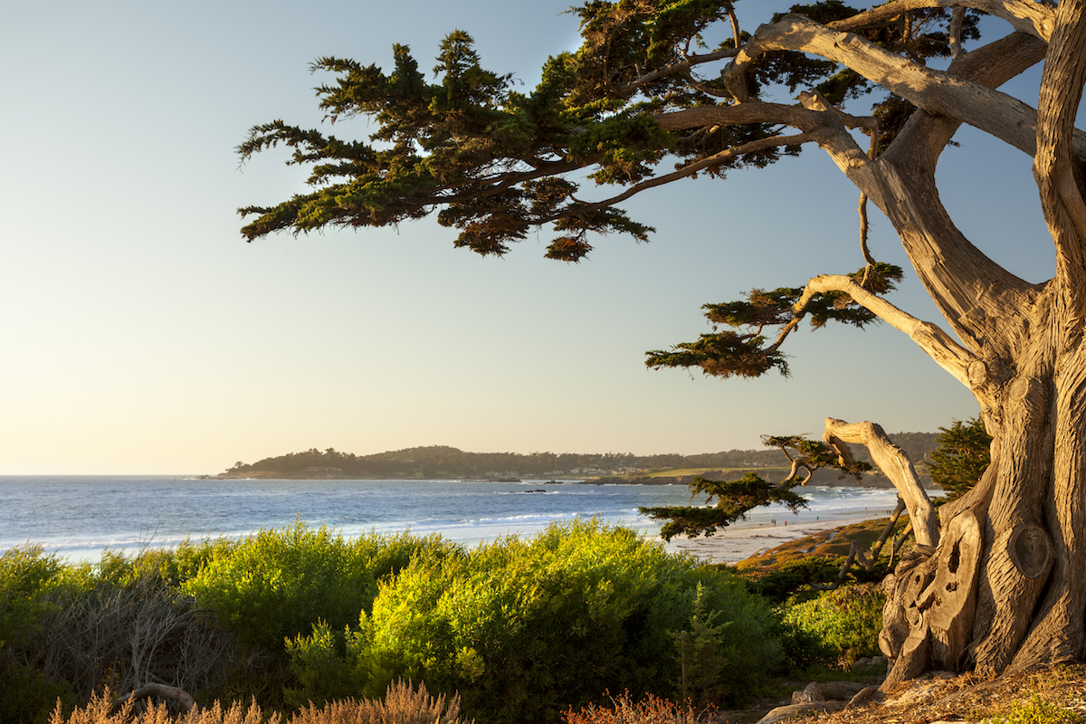 Carmel Beach in Carmel-by-the-Sea
